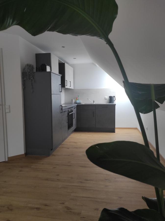 Ferienwohnung Im Distelweg Scheid  ภายนอก รูปภาพ