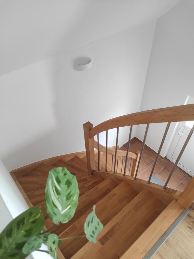 Ferienwohnung Im Distelweg Scheid  ภายนอก รูปภาพ